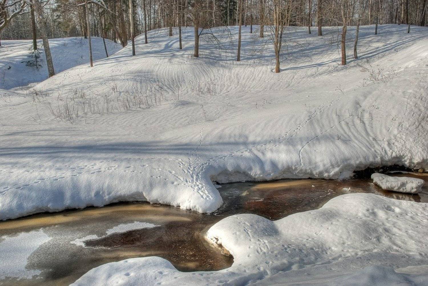 , Евгений Поздняков