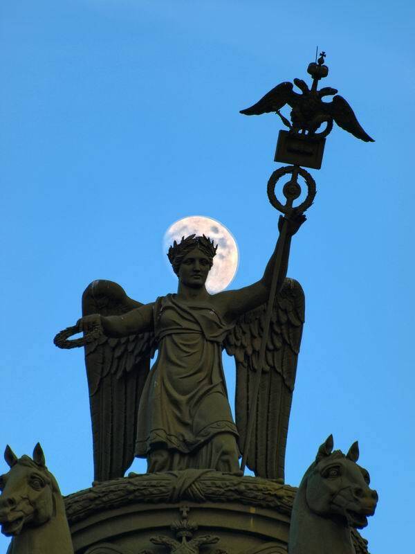 , николай дмитрук