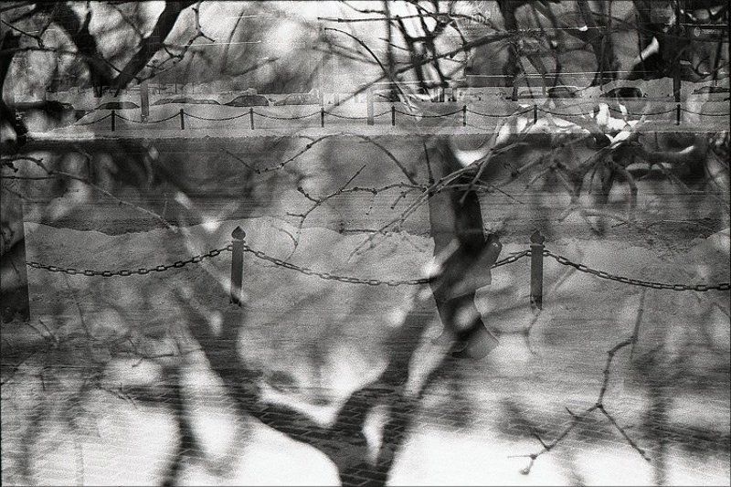 2010, город, дерево, зима, мульт, пленка, февраль, чб следы единорога фото превью