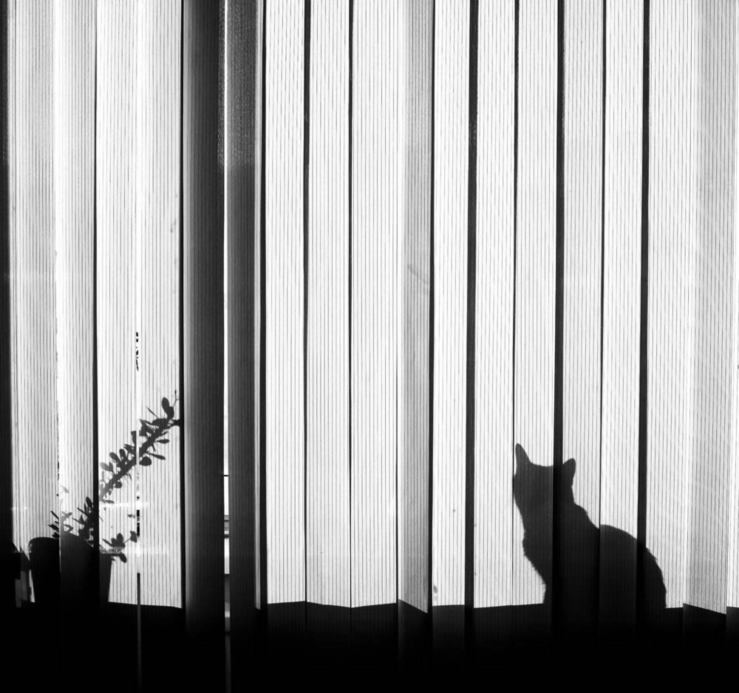 , Смирнов Павел