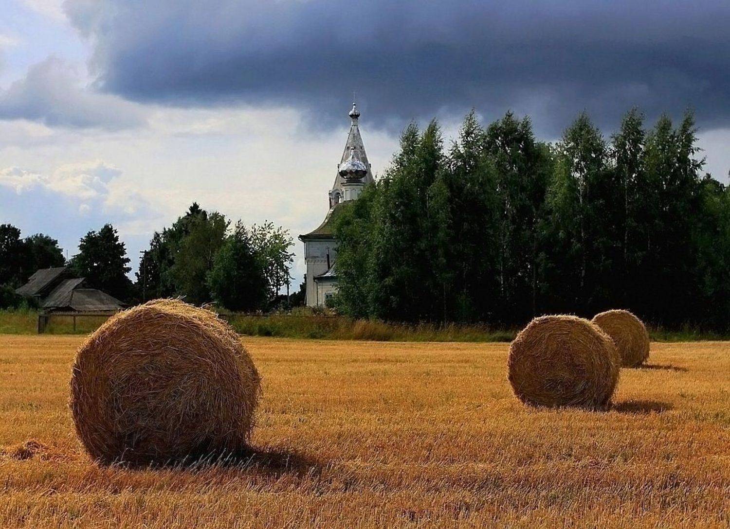 село, осень,волга, Василий Черкасский