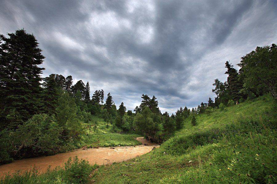 , Виталий Тимкив