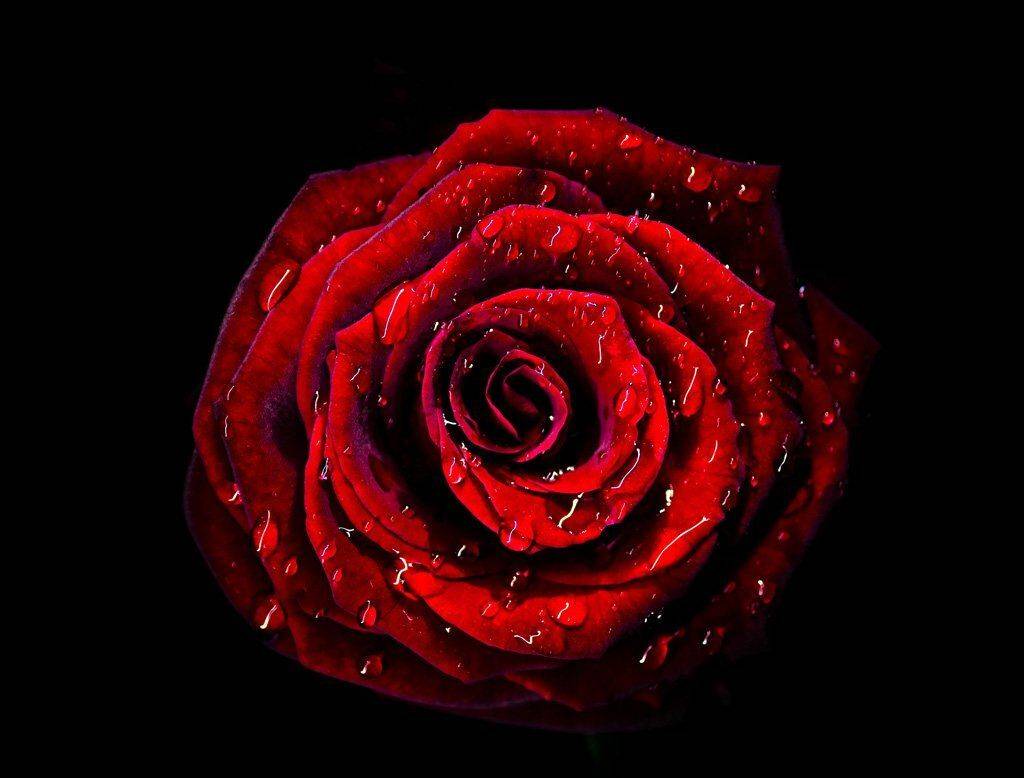 , Александр