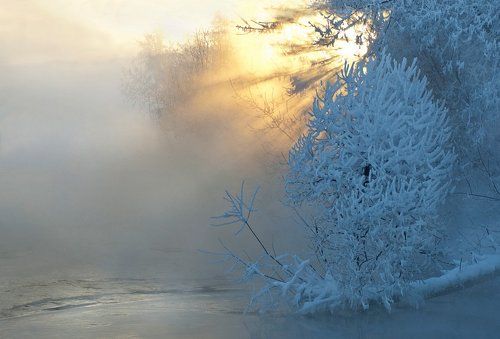 В первый день весны