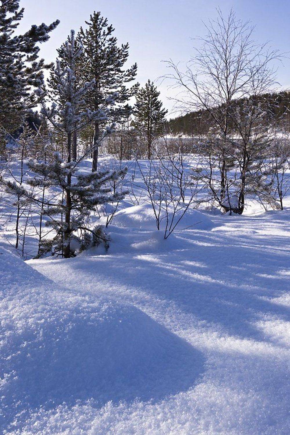 пейзаж,весна,север, Алексей Сафаров