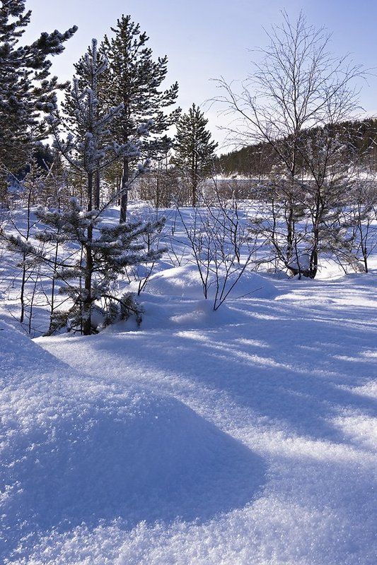 пейзаж,весна,север Солнечно.....Мартовский этюдик. фото превью