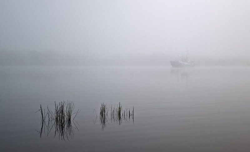 зарисовка,карелия,ладога. Сон фото превью