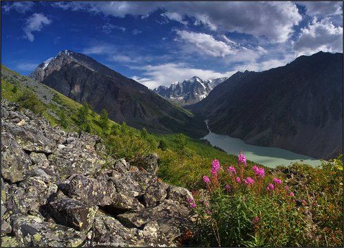 Шавлинская зарисовка