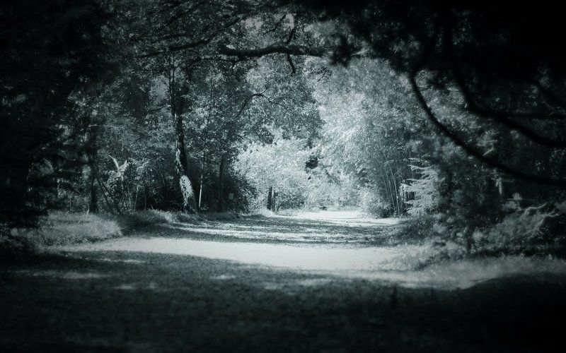 Еще немного Абхазии фото превью