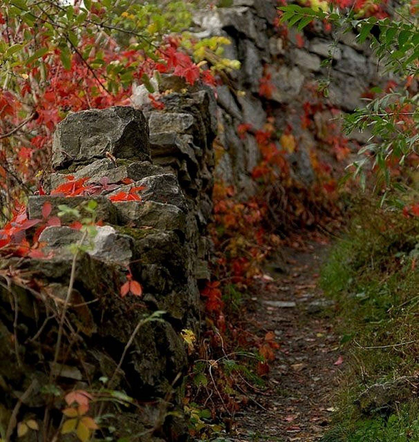 каменец-подольский, осень, mikedrebet