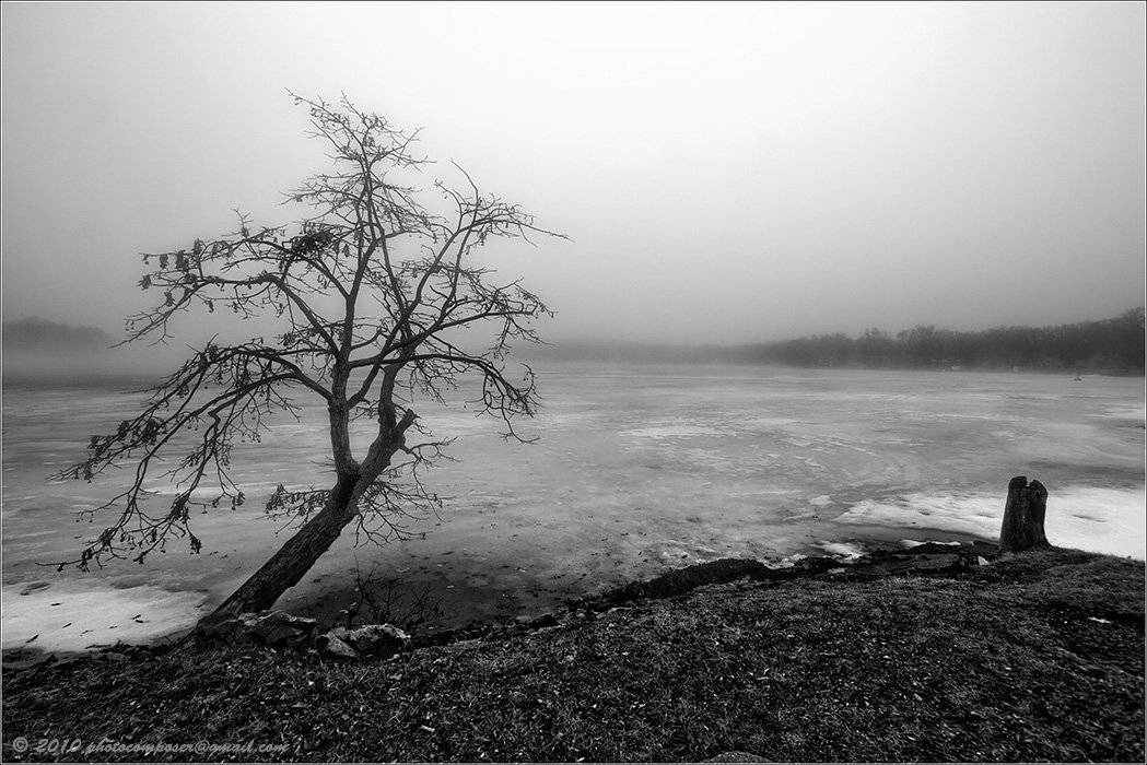 пейзаж, pilgrim, туман, Pilgrim