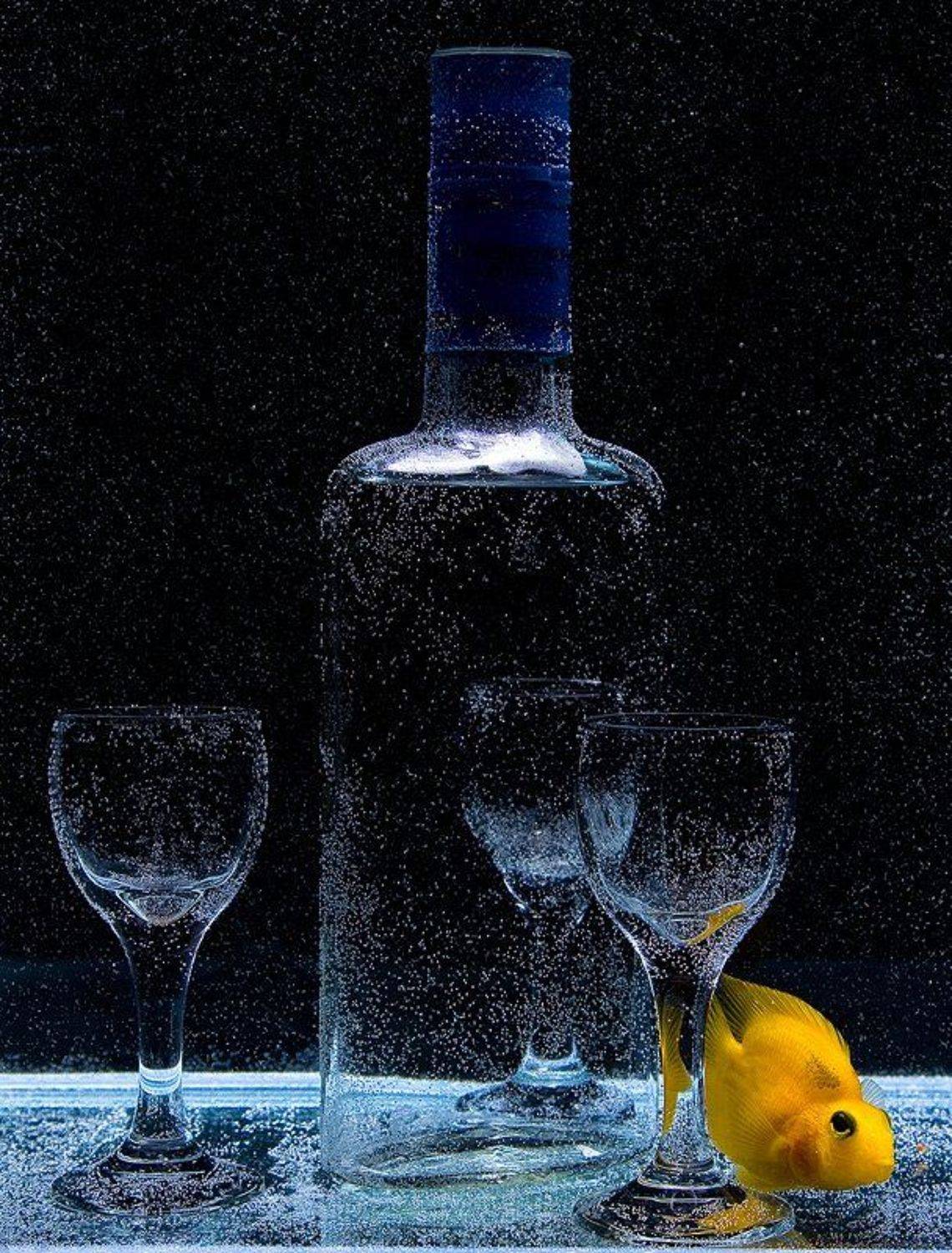 белочка выпивка рюмка пузырь, tolyan139