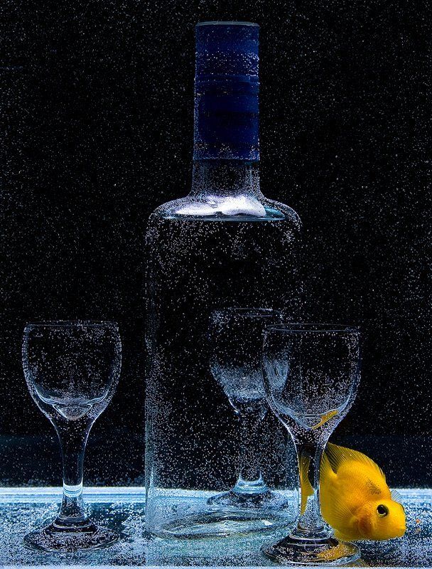 белочка выпивка рюмка пузырь Кое-что о белочке... фото превью