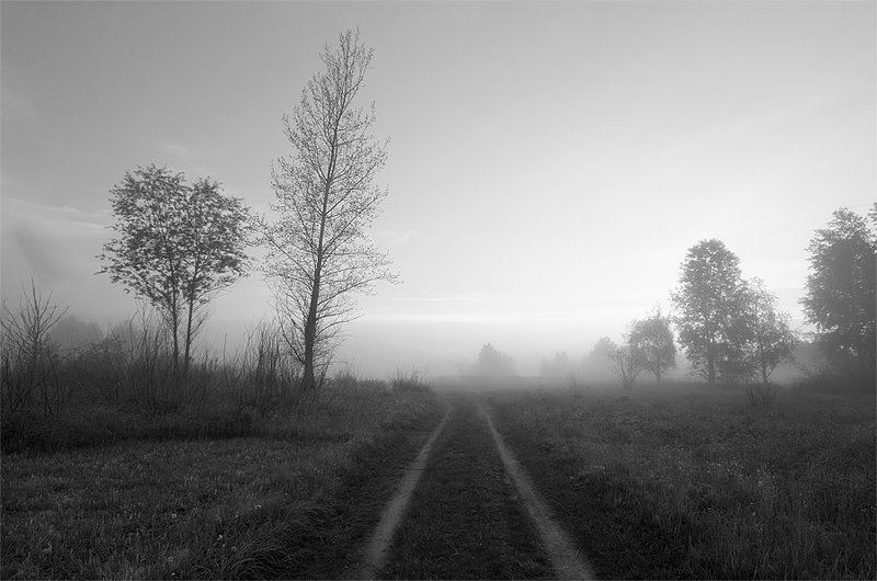 утро туман  фото превью