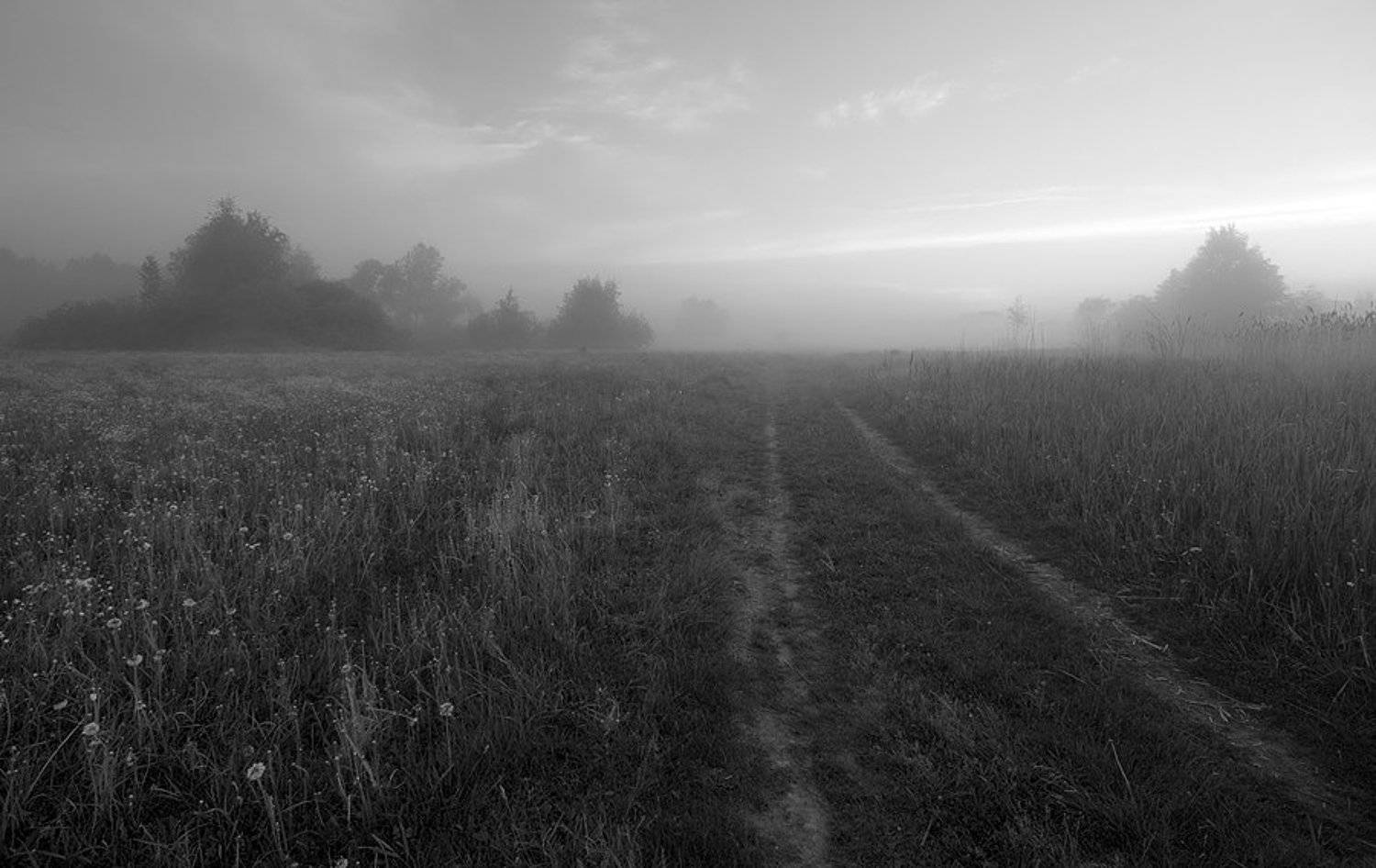 утро туман, dima05