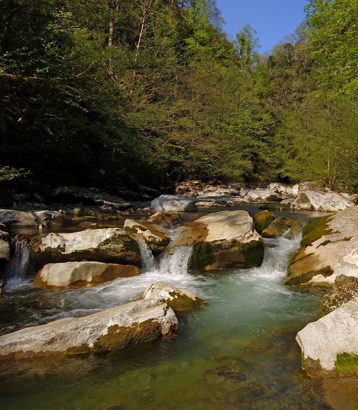 весна, панорама, река, вода, лес, сочи Весна. Каньон Белые скалы фото превью