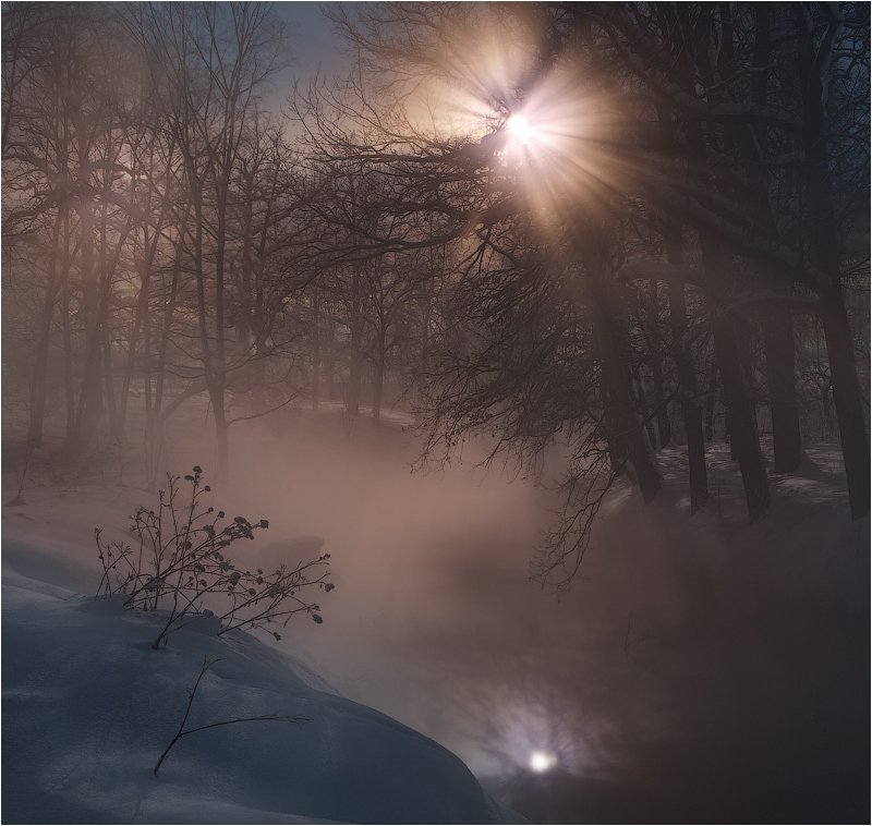 fabulous night фото превью