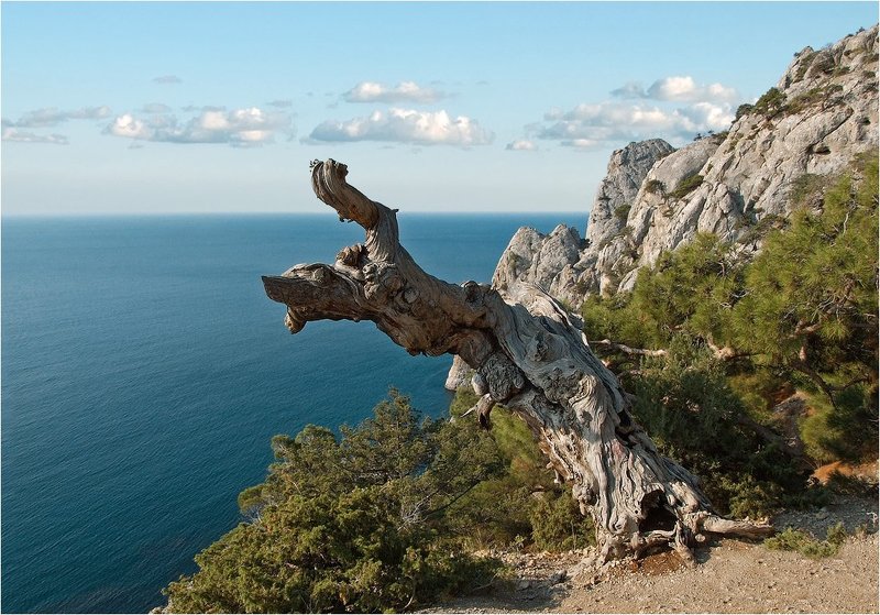 Страж долины Тавров фото превью