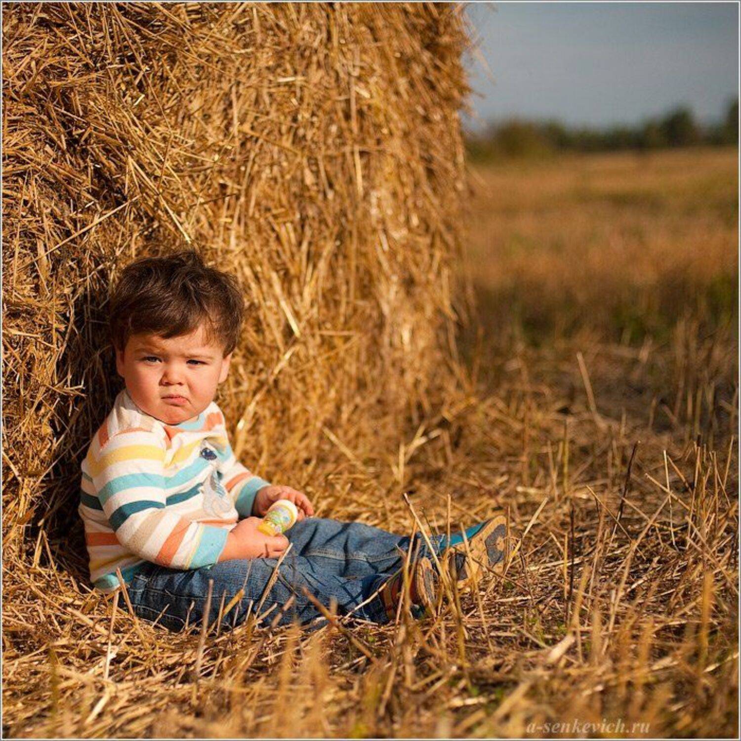 , Андрей Сенкевич