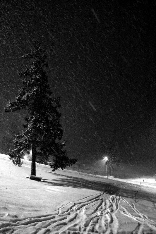 Лыжни фото превью