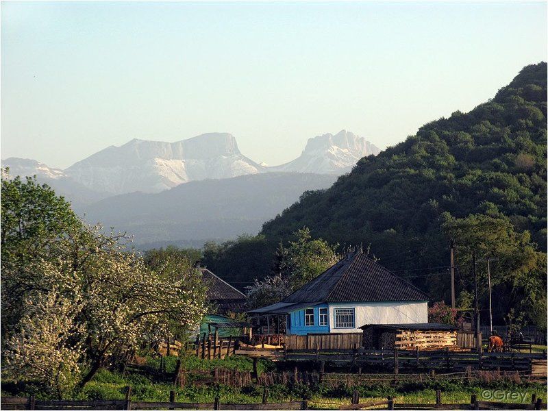 Дикая Швейцария фото превью