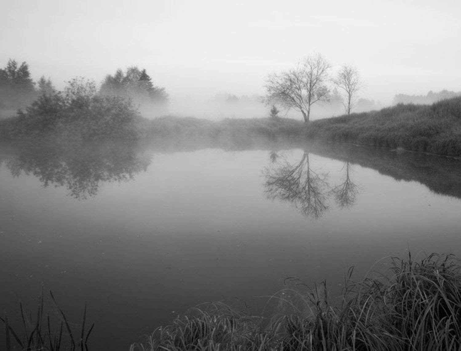 утро туман, dima05