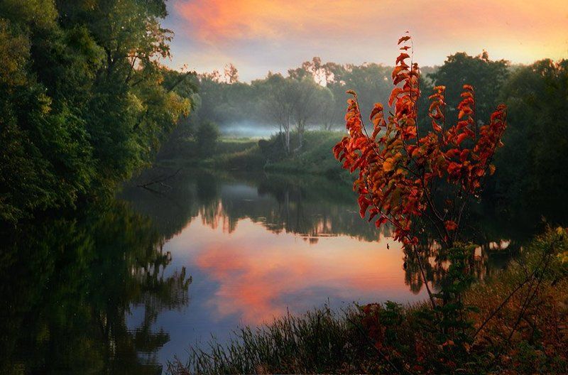 Осенний костер. фото превью