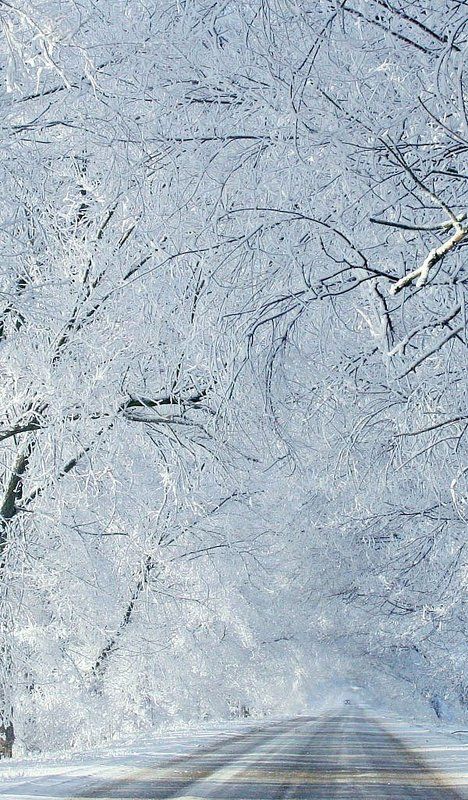 Без просвета... фото превью