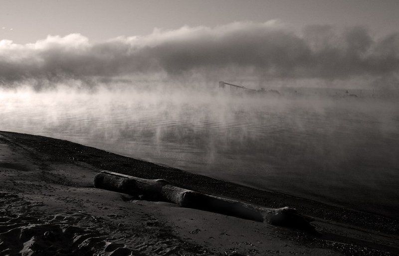 утро туман  фото превью