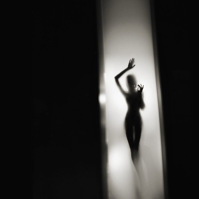 Siluette II фото превью