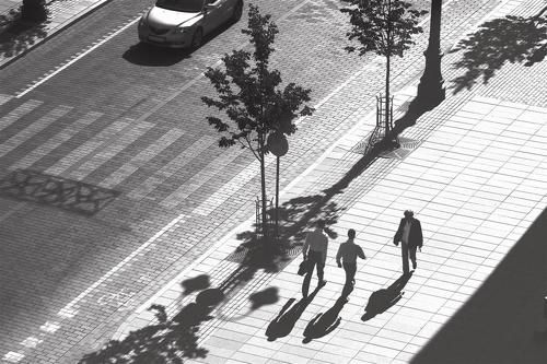 Morning shadows of Vilna