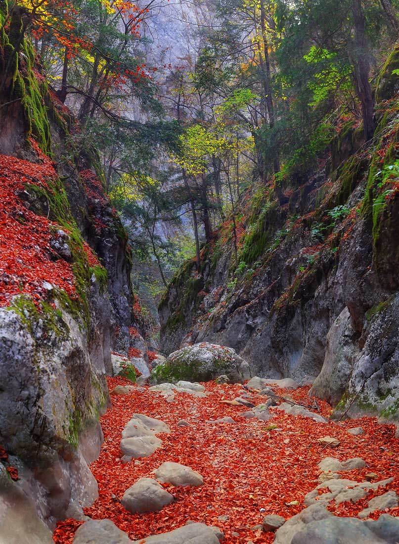 крым, каньон, осень, sergioz