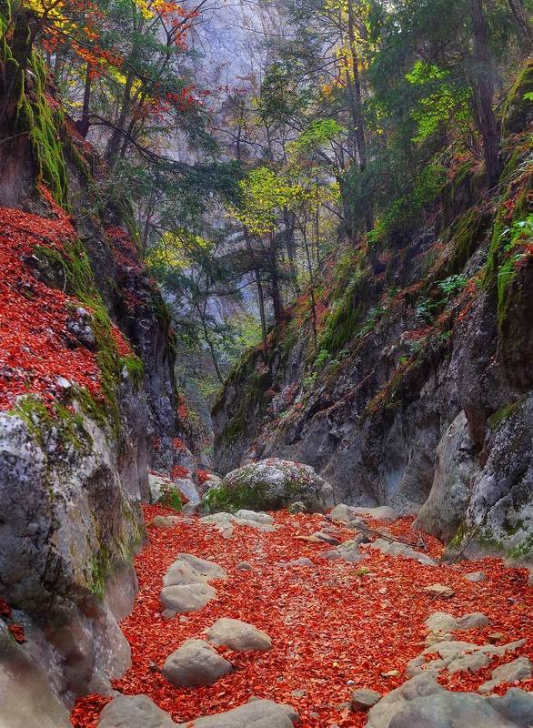 крым, каньон, осень Коридоры большого каньона фото превью