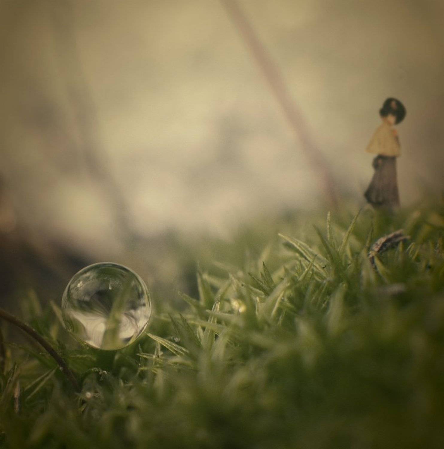 2010, барышня, капли, коллаж, макро, мох, Дмитрий Недочитанный