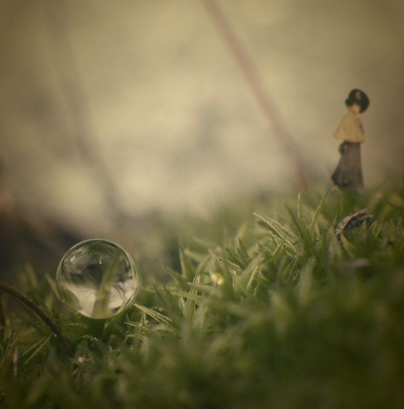 2010, барышня, капли, коллаж, макро, мох В поисках утраченого... фото превью