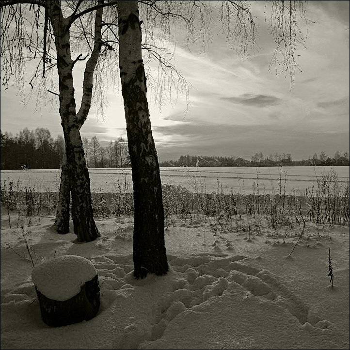 вечер, пень, следы, Тарасов Алексей