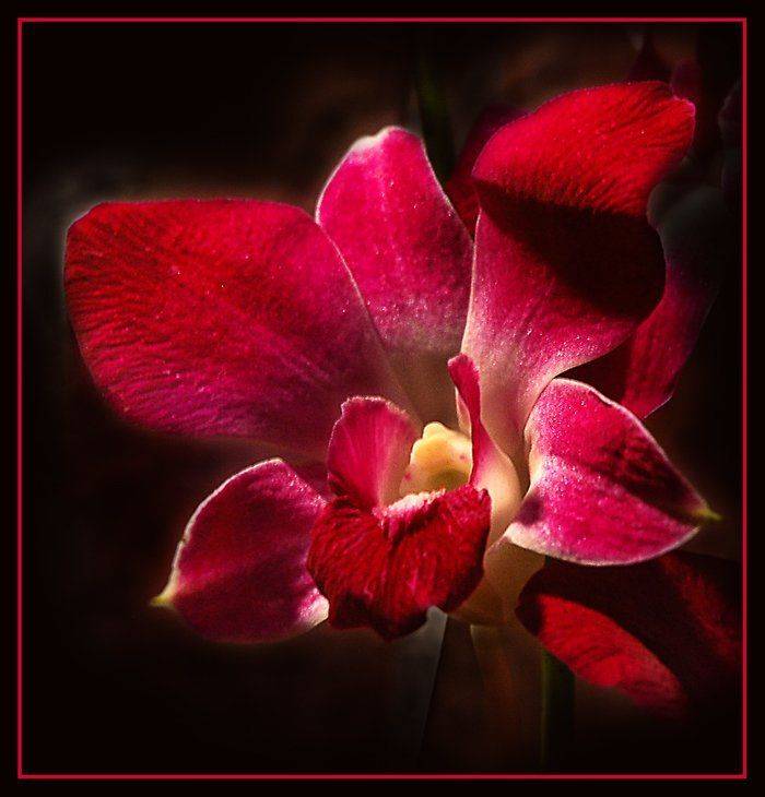 , Юлия Чекмарева