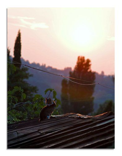 Солнечные ванны!