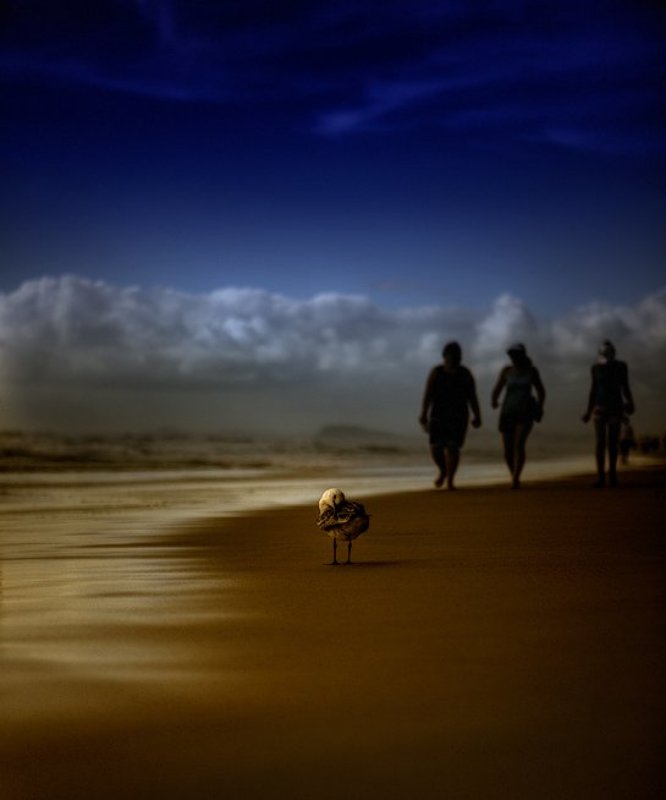 пляж фото превью