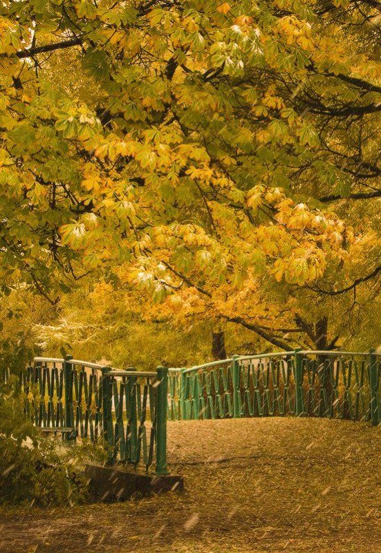 Осень в парке фото превью