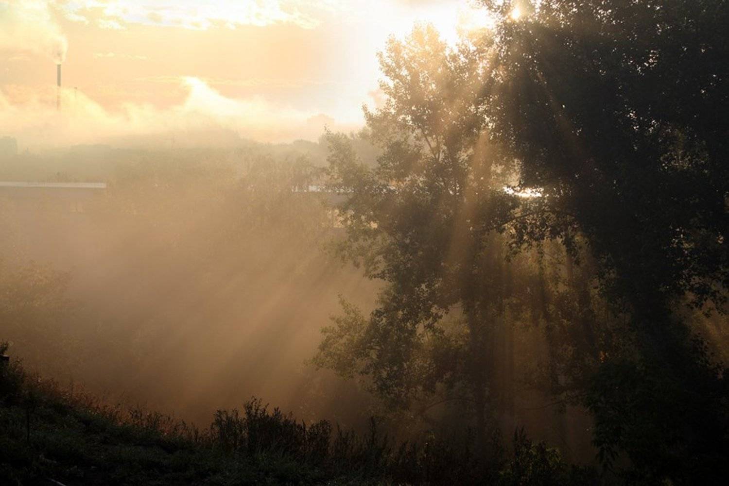 , Константин Буркин