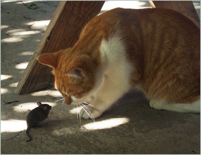 Давай договоримся фото превью