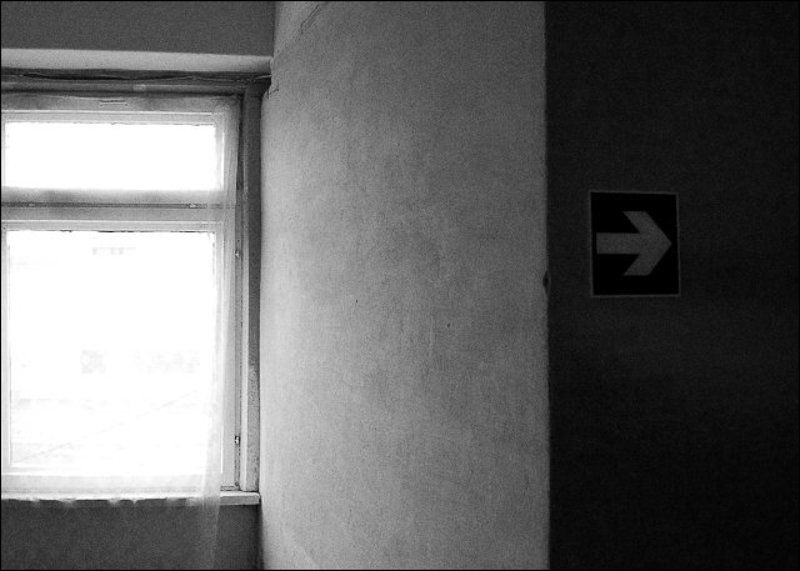 От света к тени фото превью