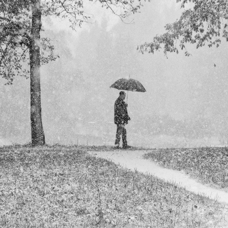 О большом зонте, первом снеге и оторвавшемся листе фото превью