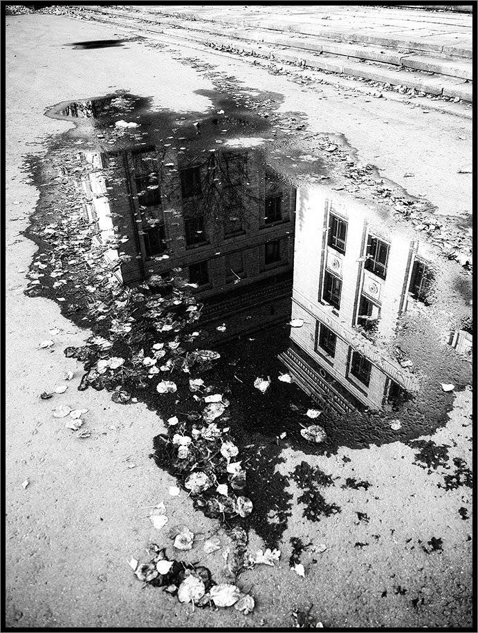 , Лунный Ежик