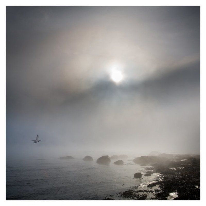 ::: фото превью