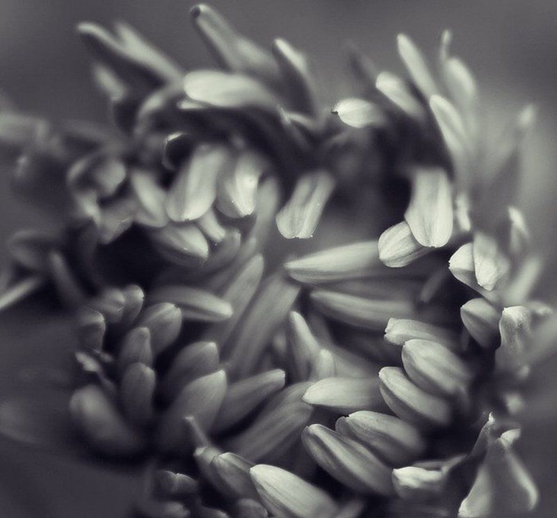 смятение фото превью