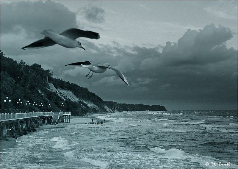 Вестники фото превью