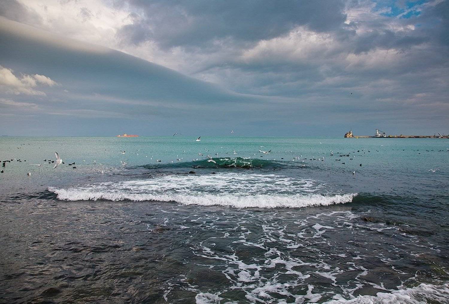 феодосия, порт,  чайки, волна, tolyan139