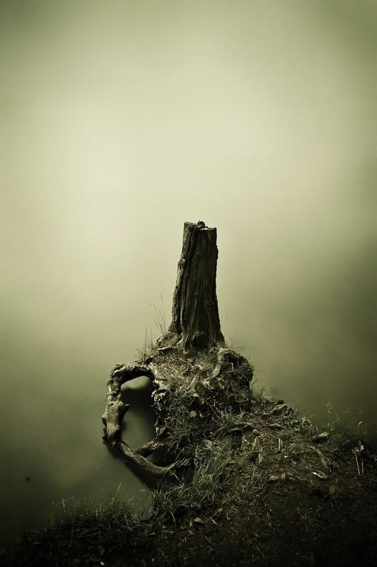 Тишина фото превью